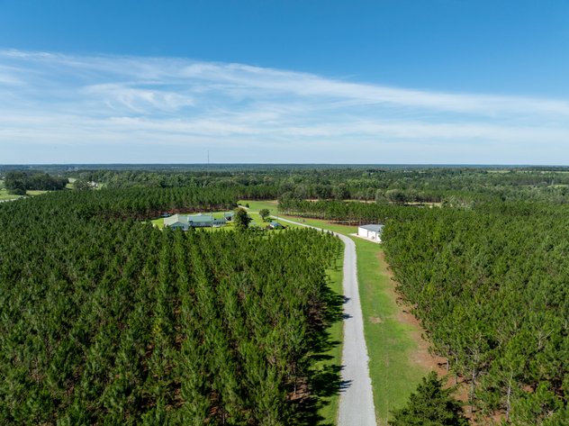 Image for ONLINE AUCTION - 79 Acres & Home in Toombs County, GA