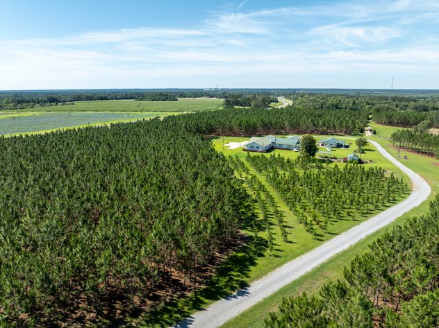 Image for ONLINE AUCTION - 79 Acres & Home in Toombs County, GA