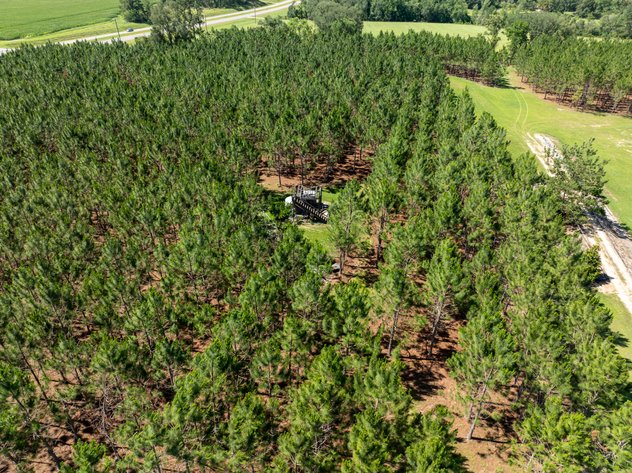 Image for ONLINE AUCTION - 79 Acres & Home in Toombs County, GA