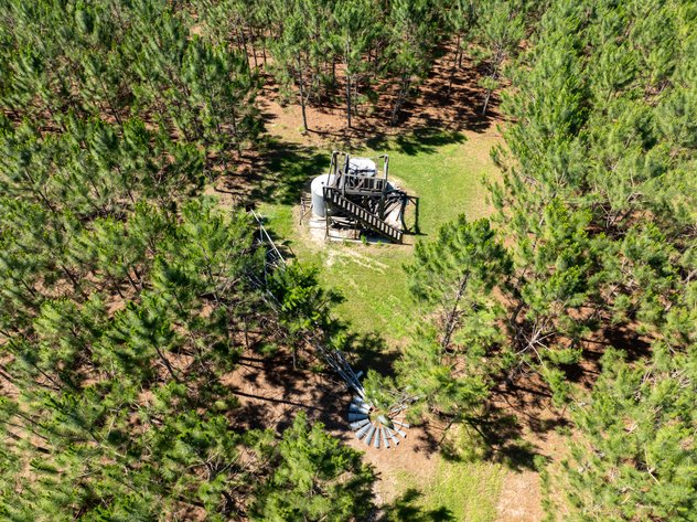 Image for ONLINE AUCTION - 79 Acres & Home in Toombs County, GA