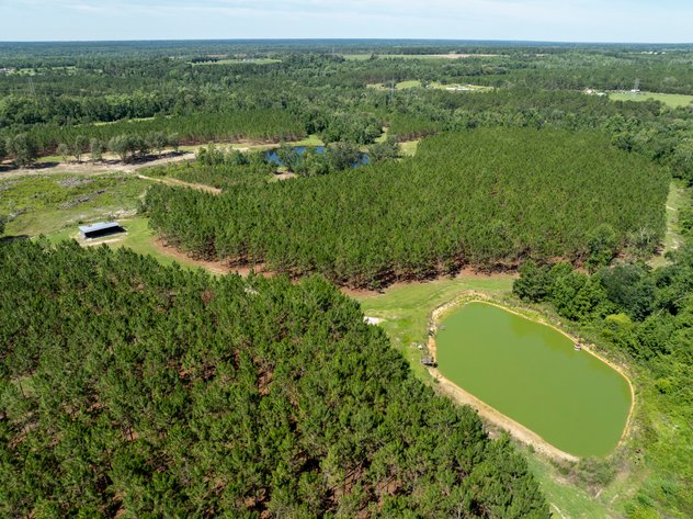 Image for ONLINE AUCTION - 79 Acres & Home in Toombs County, GA