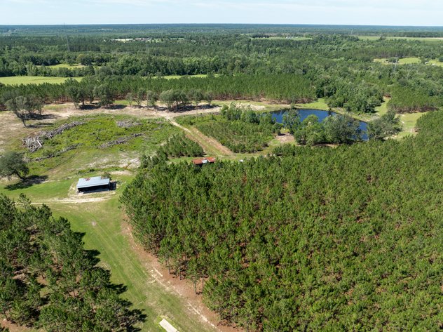 Image for ONLINE AUCTION - 79 Acres & Home in Toombs County, GA
