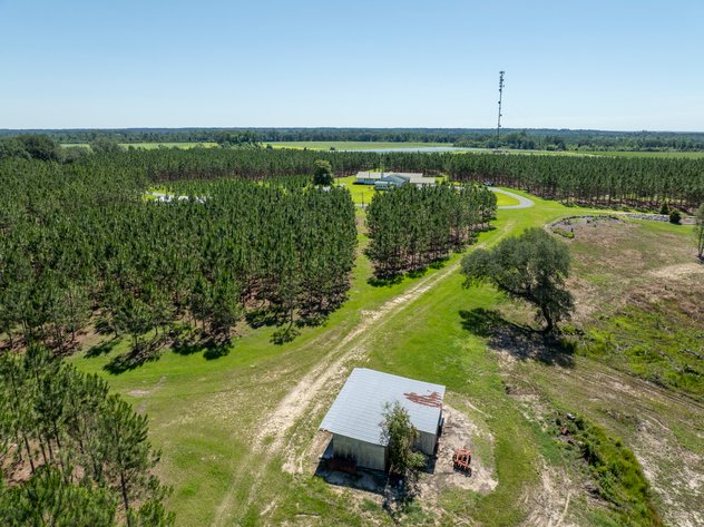 Image for ONLINE AUCTION - 79 Acres & Home in Toombs County, GA