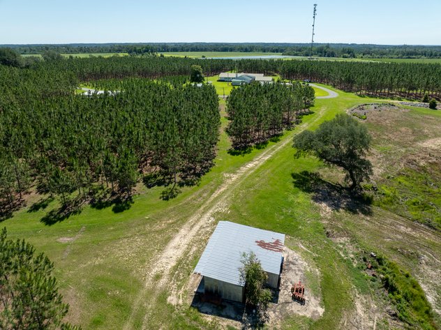 Image for ONLINE AUCTION - 79 Acres & Home in Toombs County, GA