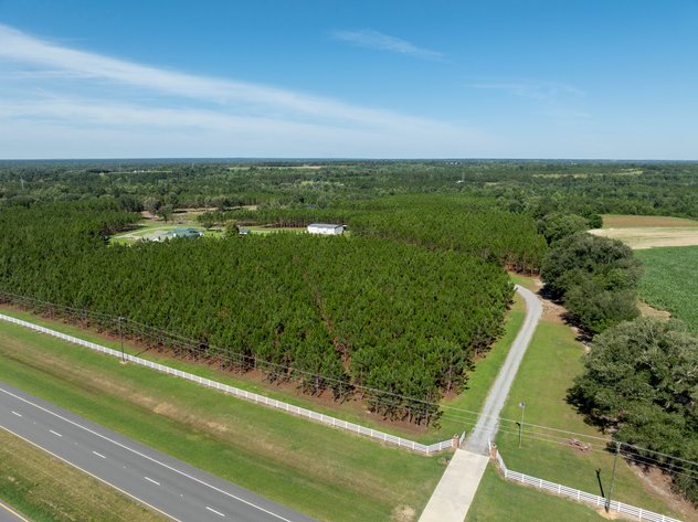 Image for ONLINE AUCTION - 79 Acres & Home in Toombs County, GA