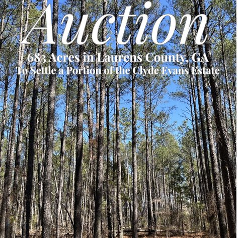 Image for LIVE AUCTION - 683 Acres in Laurens County, Georgia