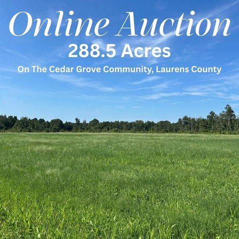 Image for ONLINE AUCTION - 288.5 Acres, Laurens County, Georgia