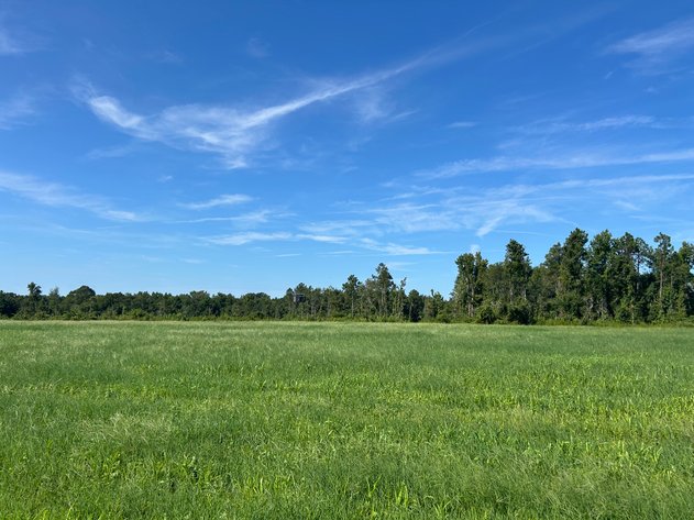 Image for ONLINE AUCTION - 288.5 Acres, Laurens County, Georgia