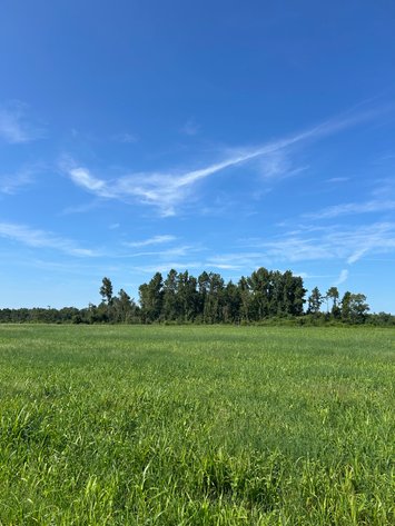 Image for ONLINE AUCTION - 288.5 Acres, Laurens County, Georgia