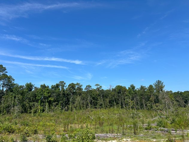 Image for ONLINE AUCTION - 288.5 Acres, Laurens County, Georgia