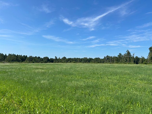 Image for ONLINE AUCTION - 288.5 Acres, Laurens County, Georgia
