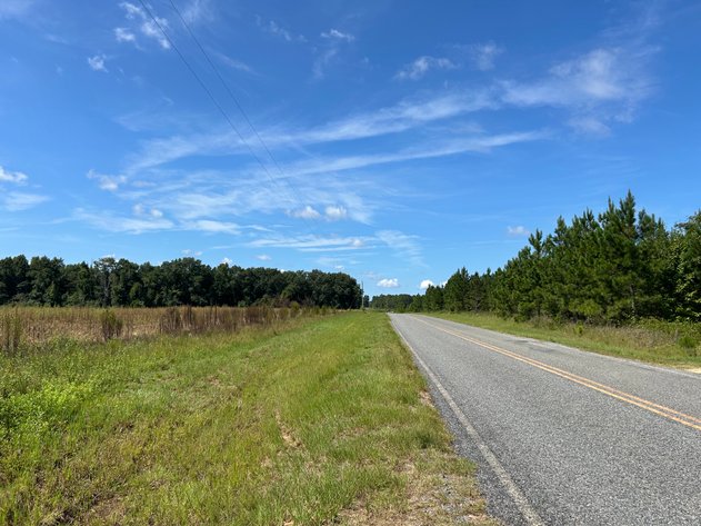 Image for ONLINE AUCTION - 288.5 Acres, Laurens County, Georgia