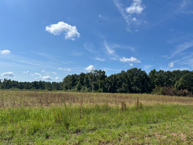 Image for ONLINE AUCTION - 288.5 Acres, Laurens County, Georgia