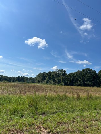 Image for ONLINE AUCTION - 288.5 Acres, Laurens County, Georgia