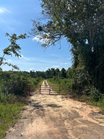 Image for ONLINE AUCTION - 288.5 Acres, Laurens County, Georgia