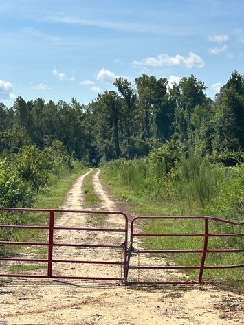 Image for ONLINE AUCTION - 288.5 Acres, Laurens County, Georgia