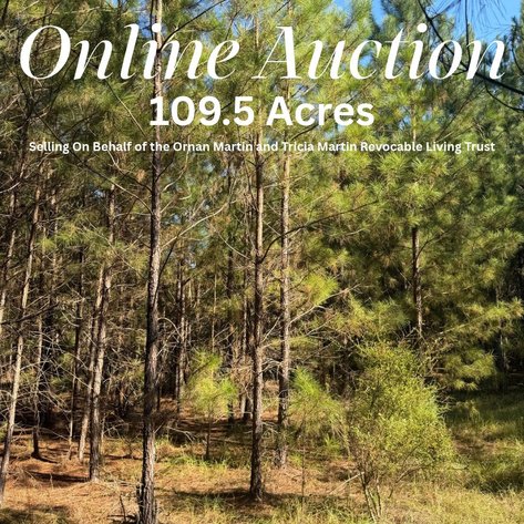 Image for ONLINE AUCTION - 109.05 Acres in Laurens County, Georgia