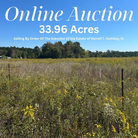 Image for ONLINE AUCTION - 33.96 Acres Laurens County, GA