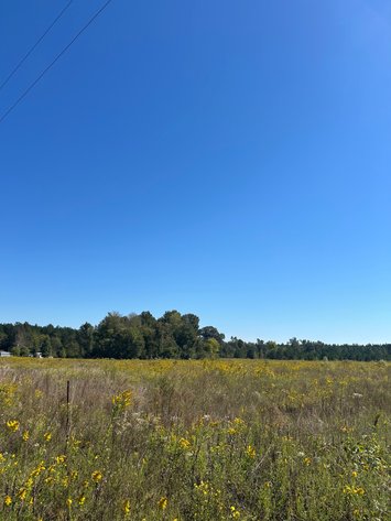 Image for ONLINE AUCTION - 33.96 Acres Laurens County, GA