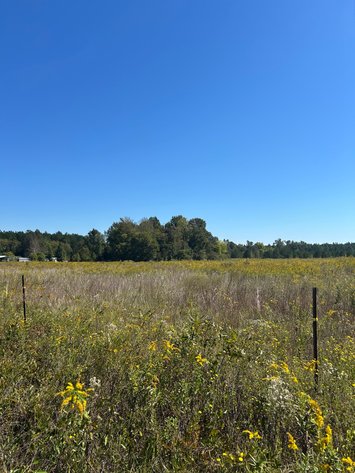Image for ONLINE AUCTION - 33.96 Acres Laurens County, GA