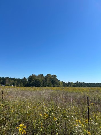 Image for ONLINE AUCTION - 33.96 Acres Laurens County, GA