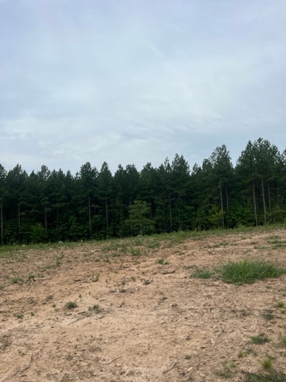 Image for Pittsylvania VA - 9.32 AC - 3 Buildable Lots - 00 Harbor Dr. Hurt VA 24563