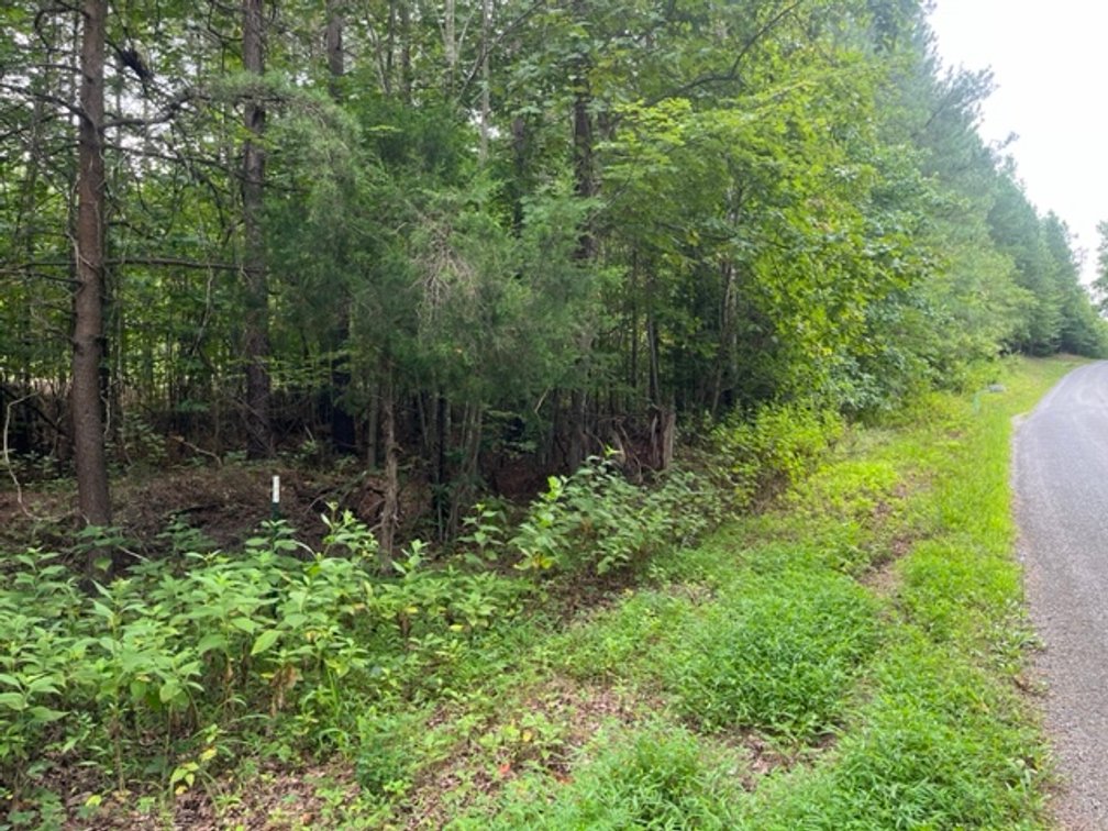 Image for Pittsylvania VA - 9.32 AC - 3 Buildable Lots - 00 Harbor Dr. Hurt VA 24563