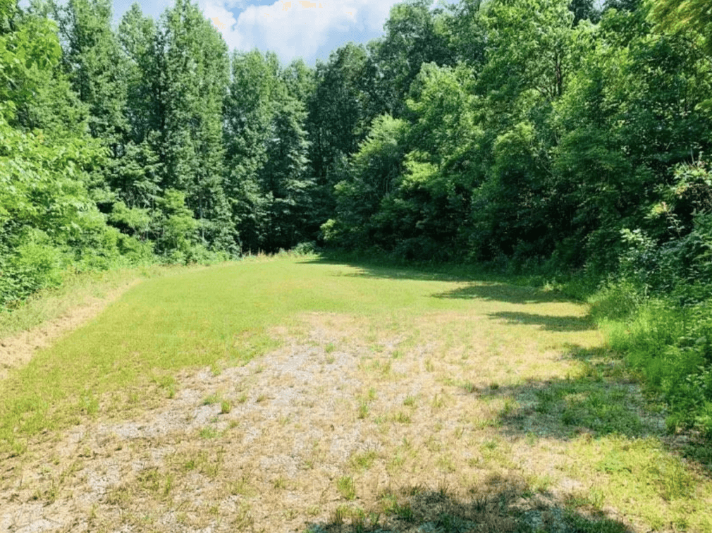 Image for 3 Prime Building Lots - .5 mile from New River Public Boat Ramp - Hidden Meadow Estates - Pearisburg, VA