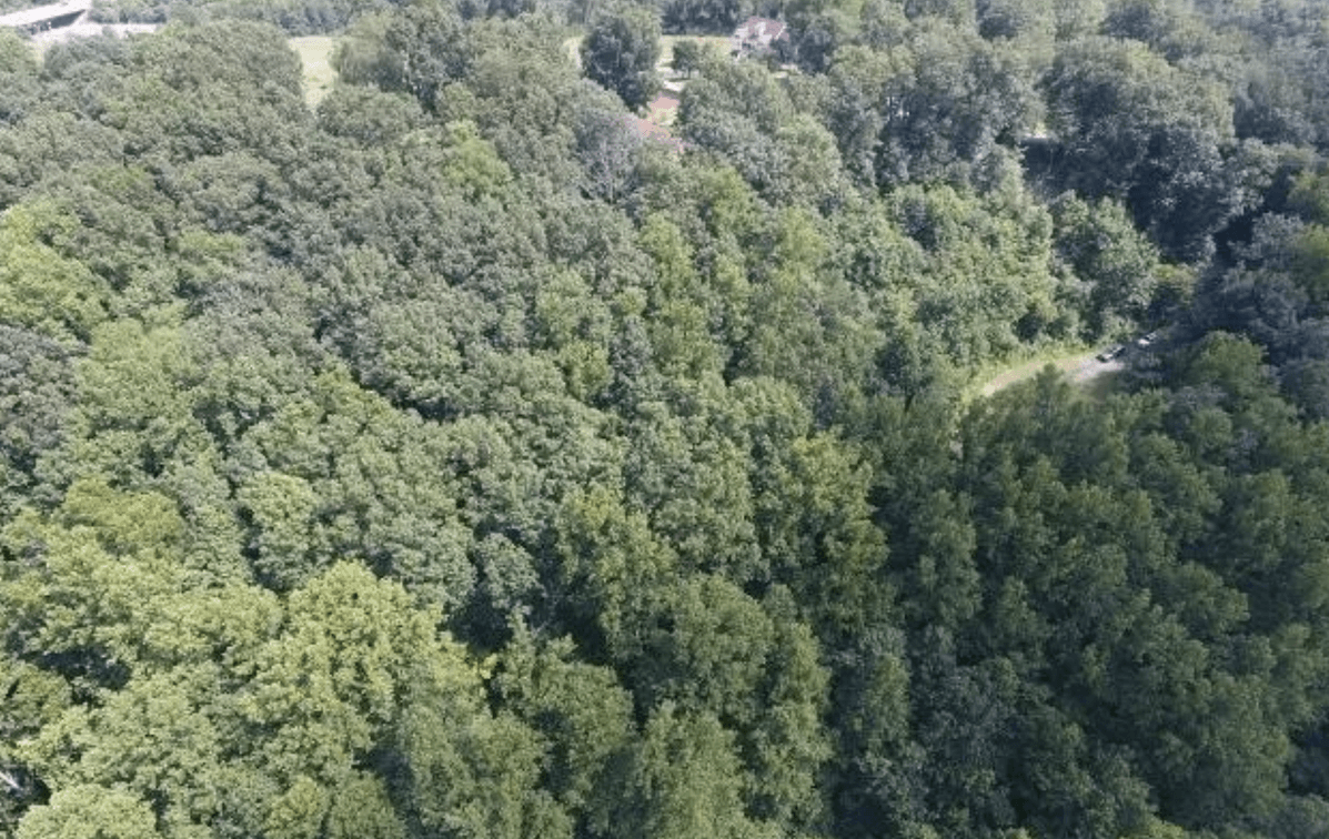 Image for 3 Prime Building Lots - .5 mile from New River Public Boat Ramp - Hidden Meadow Estates - Pearisburg, VA