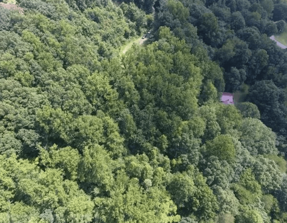 Image for 3 Prime Building Lots - .5 mile from New River Public Boat Ramp - Hidden Meadow Estates - Pearisburg, VA