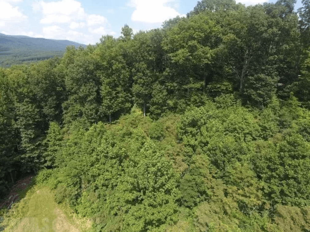 Image for 3 Prime Building Lots - .5 mile from New River Public Boat Ramp - Hidden Meadow Estates - Pearisburg, VA