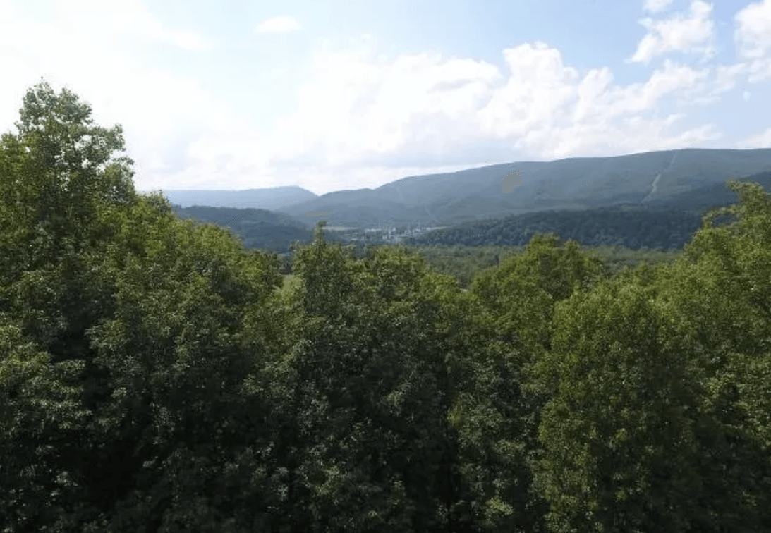 Image for 3 Prime Building Lots - .5 mile from New River Public Boat Ramp - Hidden Meadow Estates - Pearisburg, VA