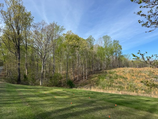 Image for 4 of 4 - Cumberland, VA | 8-acre Parcel on Route 711