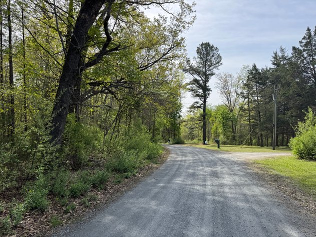 Image for 3 of 4 - Cumberland, VA | 5-acre parcel on the east side of State Route 45 - Mt. Elba Rd