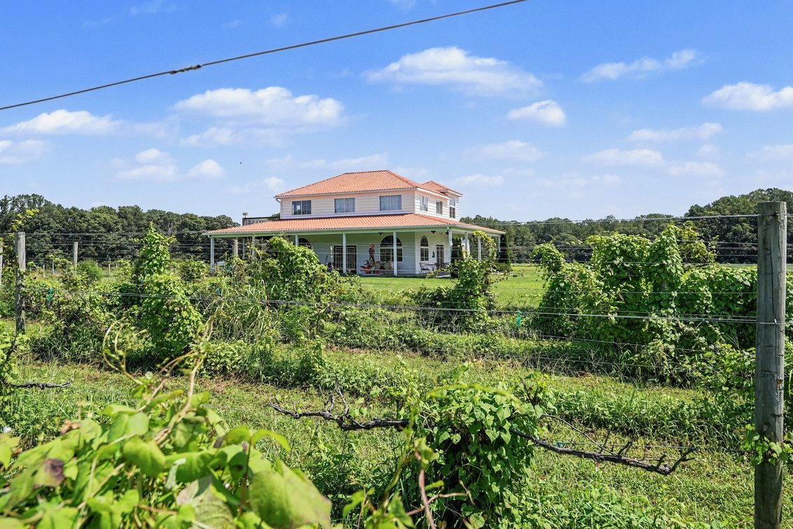 Image for Caret Cellars Vineyard & Winery Auction