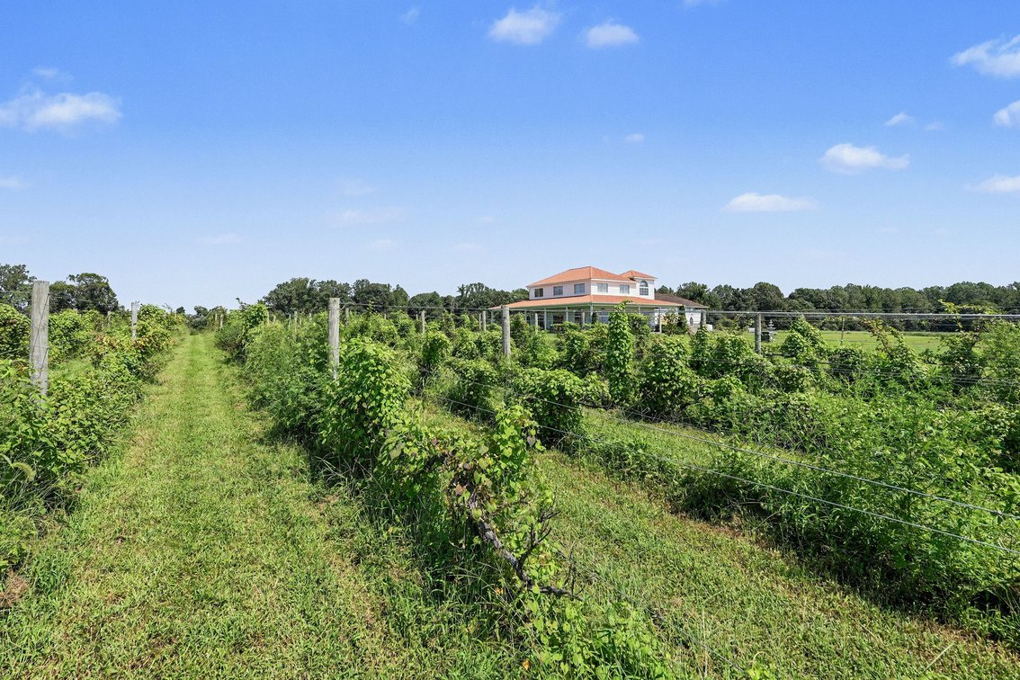 Image for Caret Cellars Vineyard & Winery Auction