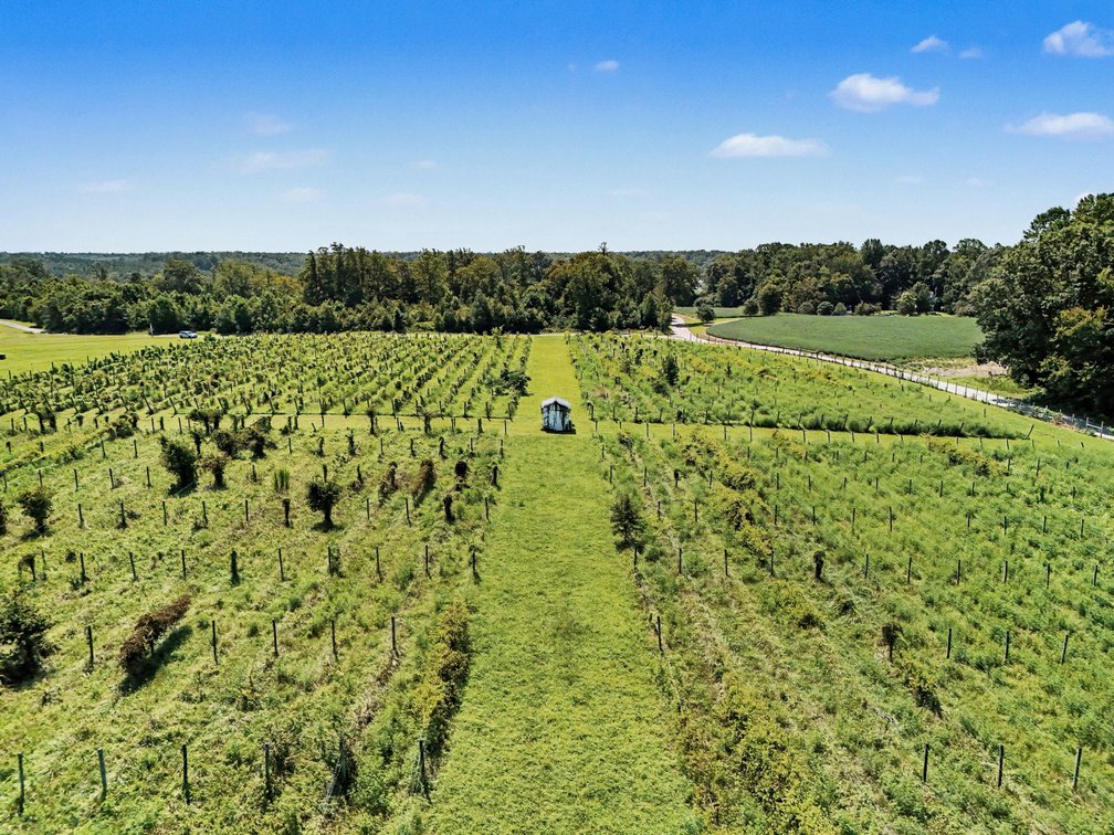 Image for Caret Cellars Vineyard & Winery Auction