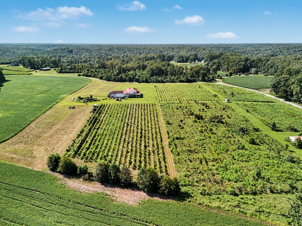 Image for Caret Cellars Vineyard & Winery Auction
