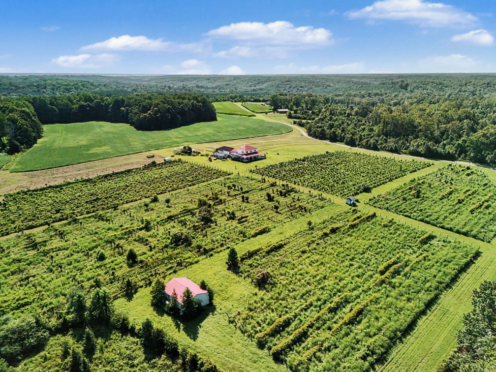 Image for Caret Cellars Vineyard & Winery Auction