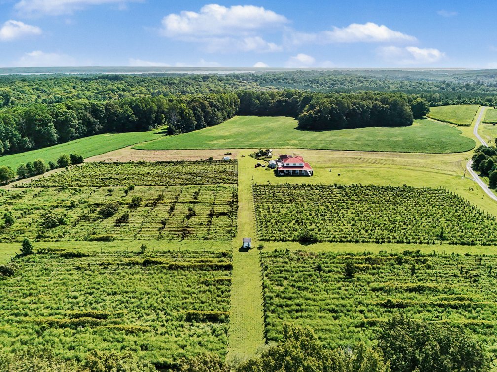 Image for Caret Cellars Vineyard & Winery Auction
