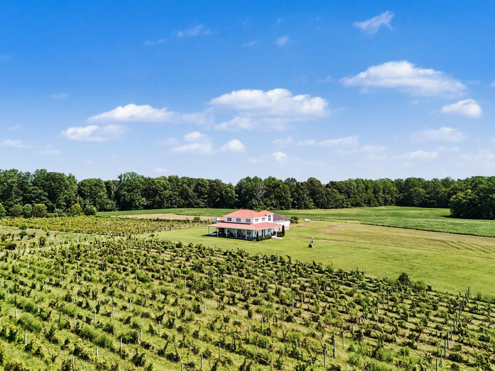 Image for Caret Cellars Vineyard & Winery Auction