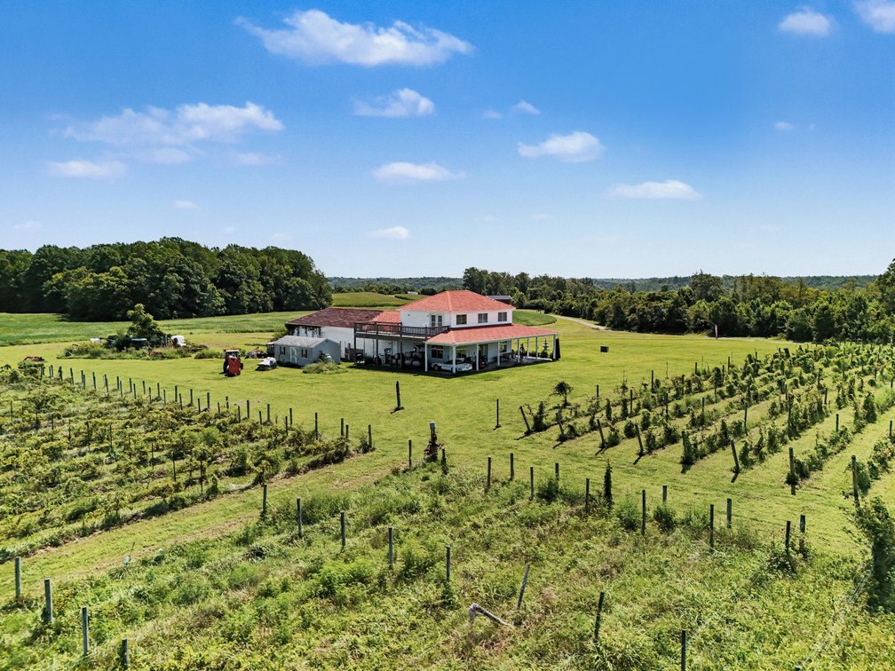 Image for Caret Cellars Vineyard & Winery Auction