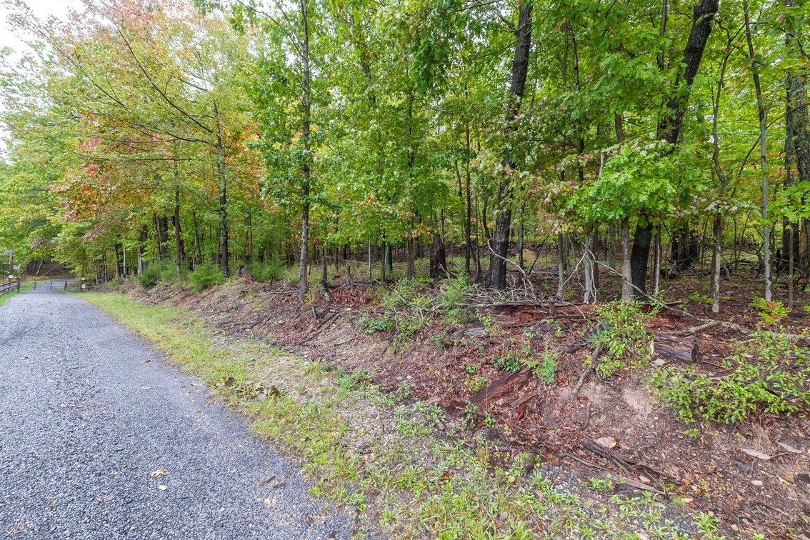 Image for 60 Lot Development Parcel 28 miles from Charlottesville, VA - May Ave