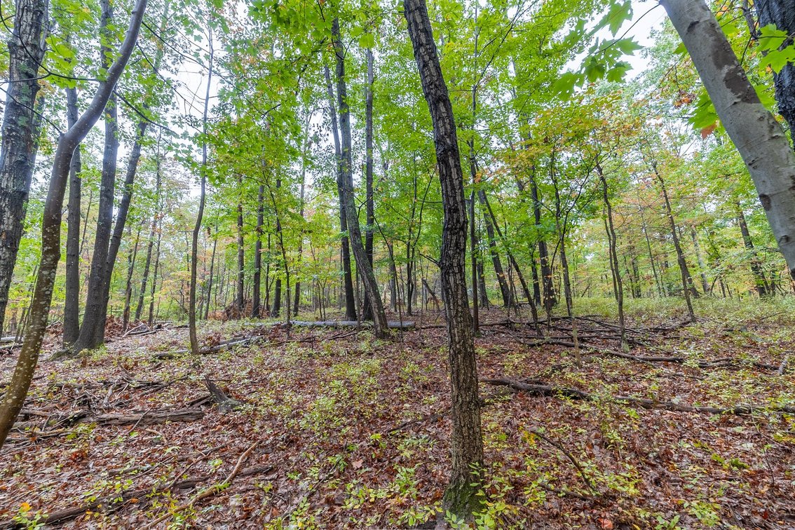 Image for 60 Lot Development Parcel 28 miles from Charlottesville, VA - May Ave