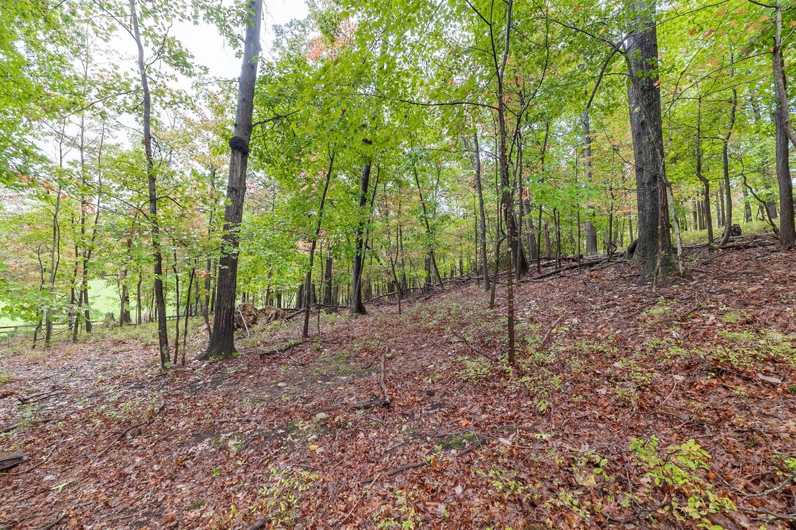 Image for 60 Lot Development Parcel 28 miles from Charlottesville, VA - May Ave