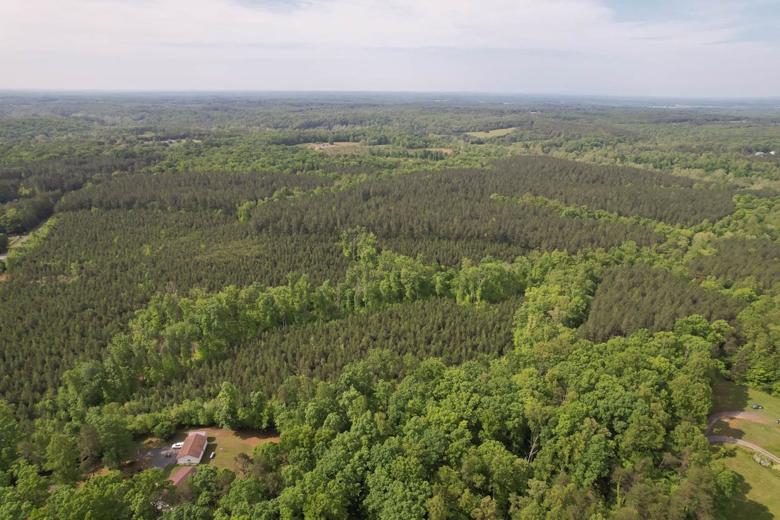 Image for 187+/- Acre Timber Investment Property in Albemarle County offered in 4 Parcels with 20 Division Rights
