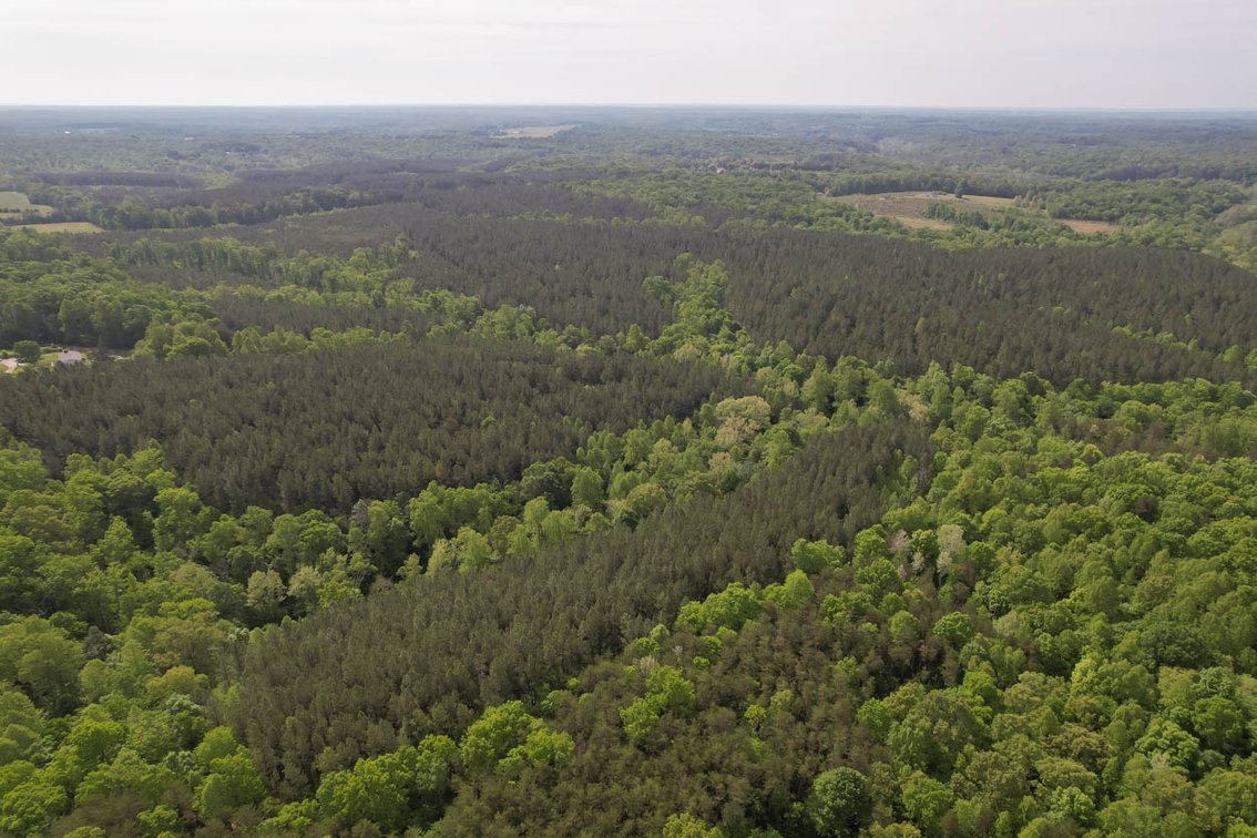 Image for 187+/- Acre Timber Investment Property in Albemarle County offered in 4 Parcels with 20 Division Rights