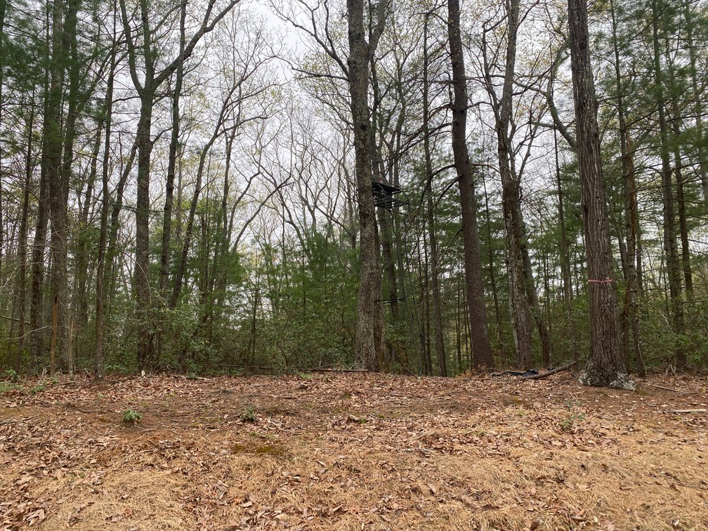 Image for BREATHTAKING MOUNTAIN VIEWS: Blue Ridge Estate Auction - 158-Acre Farm & Building Lot - Amherst, VA