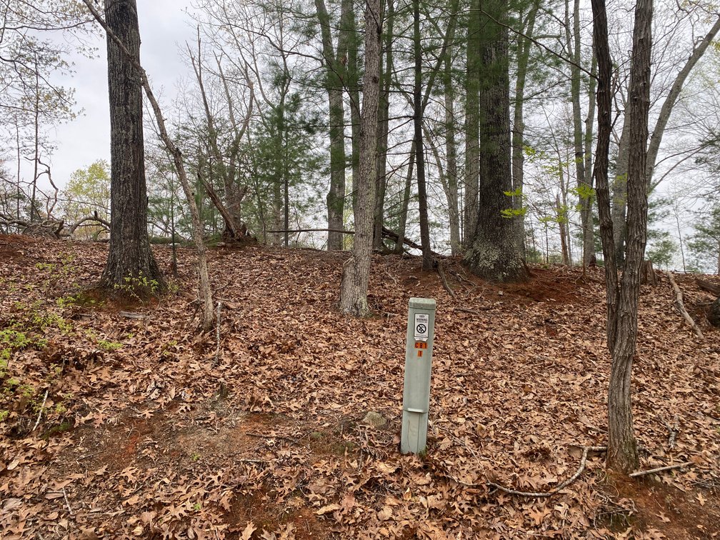 Image for BREATHTAKING MOUNTAIN VIEWS: Blue Ridge Estate Auction - 158-Acre Farm & Building Lot - Amherst, VA