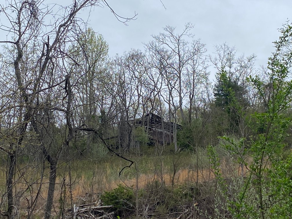 Image for BREATHTAKING MOUNTAIN VIEWS: Blue Ridge Estate Auction - 158-Acre Farm & Building Lot - Amherst, VA